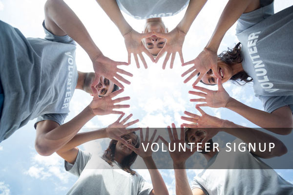 Volunteer Signup