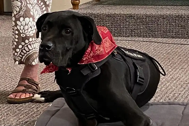 Tucker, the unofficial mascot for The Farm Place